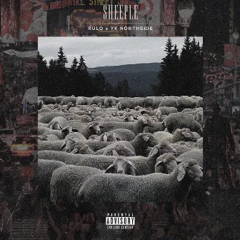 Sheeple by YK Northside