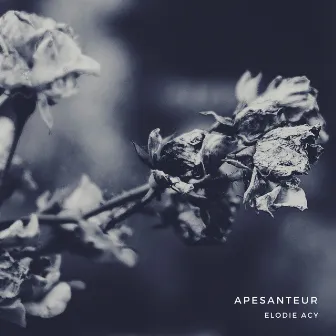 Apesanteur by Elodie Acy