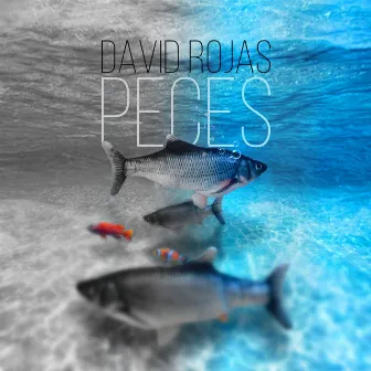 Peces by David Rojas