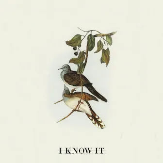 I Know It by Jonny Henninger