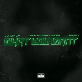 What You Want by GBS MoneyRese