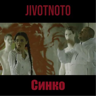 Синко by Jivotnoto