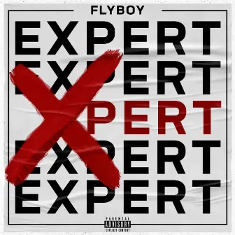 Xpert by Flyboy S