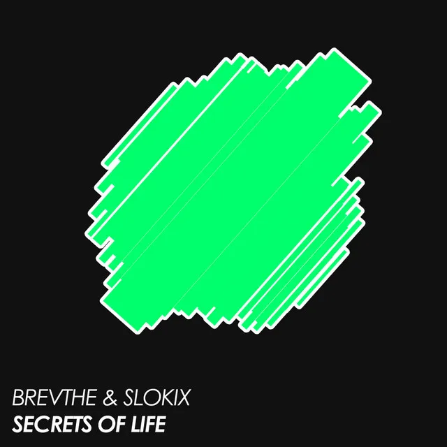 Secrets Of Life - Extended Mix