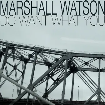 Do Want What You by Marshall Watson