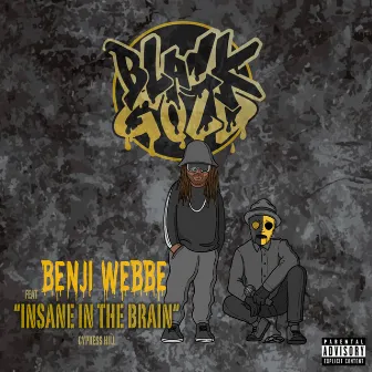 Insane in the Brain by Benji Webbe