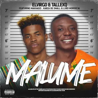 Malume (feat. Makhadzi & Kabza De Small & Lxrd Mordecai) by TallexQ