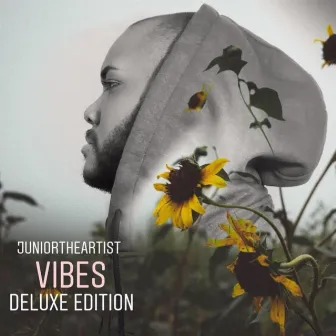 Vibes: The Debut Album (2018) by JuniorTheArtist