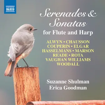 Serenades & Sonatas for Flute and Harp by Erica Goodman