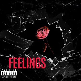 FEELINGS by TBD¡¡