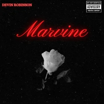 Marvine by Devin Robinson