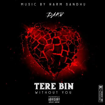 TERE BIN (WITHOUT YOU) by DAKU