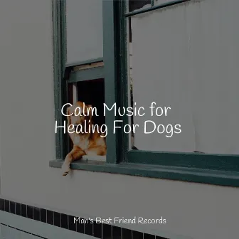 Calm Music for Healing For Dogs by Official Pet Care Collection