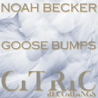 Goose Bumps by Noah Becker