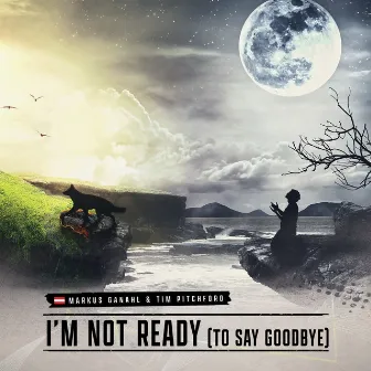 I'm Not Ready (To Say Goodbye) by Tim Pitchford