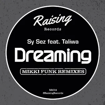 Dreaming (Mikki Funk Remixes) by Mikki Funk