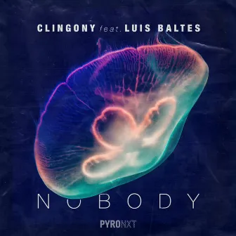 Nobody by Luis Baltes