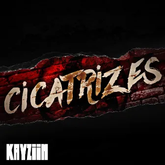 Cicatrizes by DarkHitts