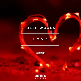 L.O.V.E. by Deep Woods