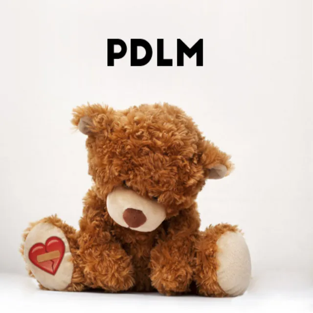 PDLM