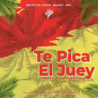 Te Pica El Juey by Angel El Universal