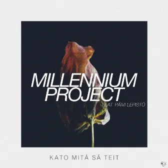 Kato mitä sä teit by Millennium Project