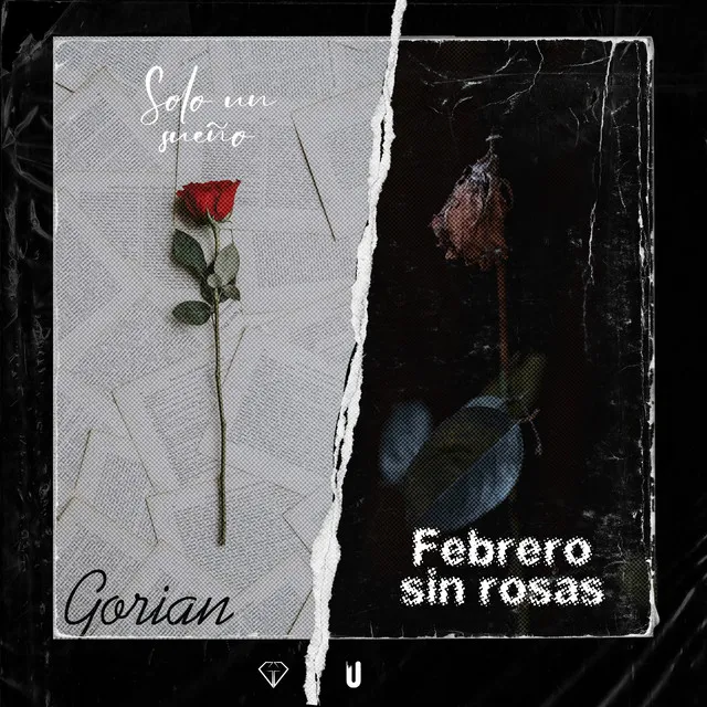 Febrero Sin Rosas