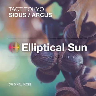 Arcus / Sidus by TACT TOKYO