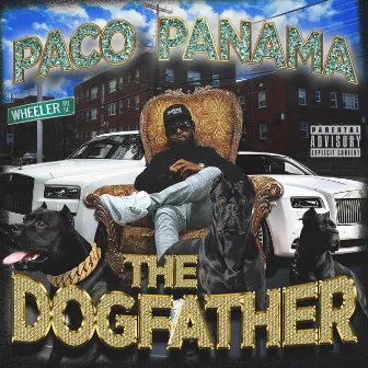 The DogFather by Paco Panama