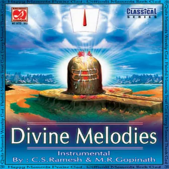 Divine Melodies Instrumental - C S Ramesh by Unknown Artist