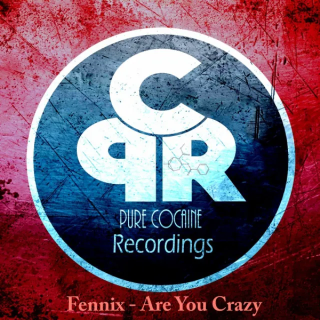 Are You Crazy - Original Mix