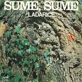 Šume, Šume by Ansambl Ladarice