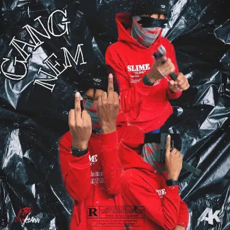 Gang Nem by Kay Savage