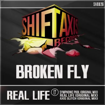 Real Life by Broken Fly