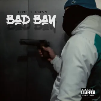 Bad Bay by Lion P