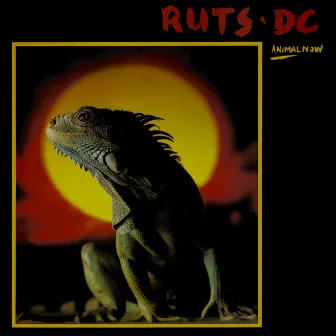 Animal Now by Ruts D.C.