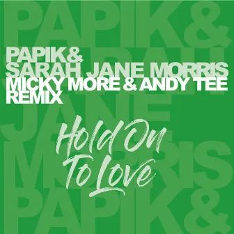 Hold On To Love - Micky More & Andy Tee Remix by Sarah Jane Morris