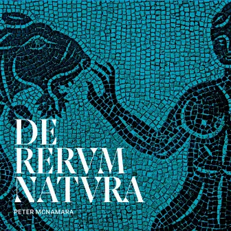 De Rervm Natvra by Peter McNamara