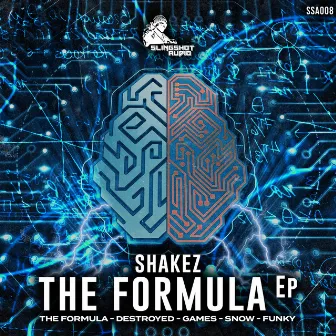 The Formula by Shakez