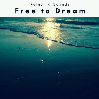 Free to Dream by Sleep Magic