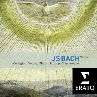 Bach: Masses, BWV 233 - 235 & Sanctus, BWV 238 by Orchestra of Collegium Vocale Gent