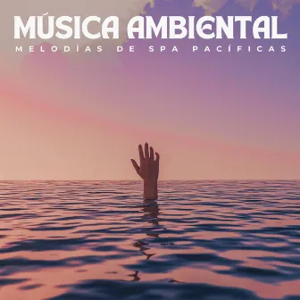 Música Ambiental: Melodías De Spa Pacíficas by Estado de distracción