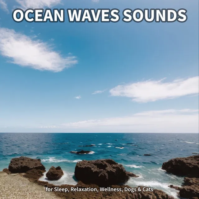 Ocean Waves Sounds, Pt. 7