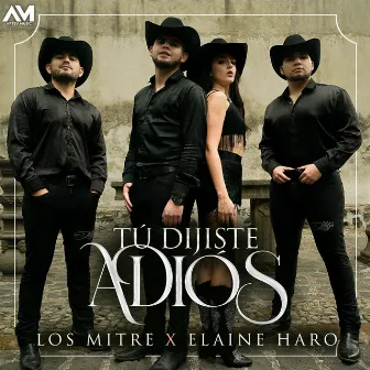 Tú Dijiste Adiós by Elaine Haro