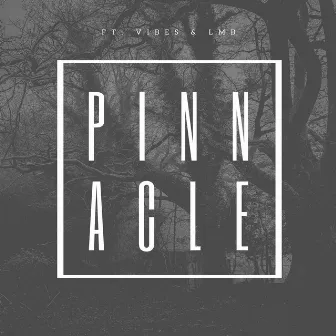 Pinnacle by Truth