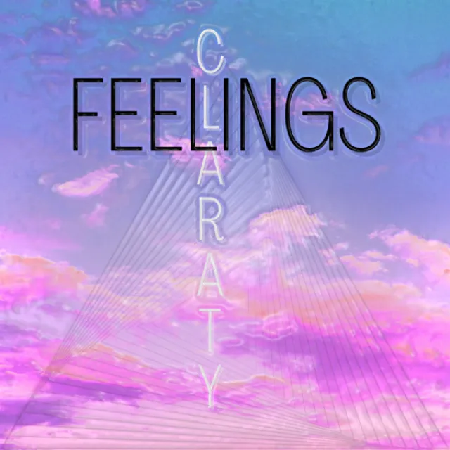 Feelings