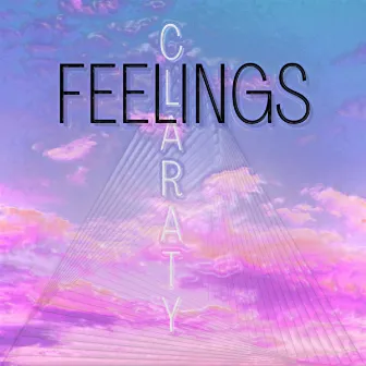 Feelings by Claraty