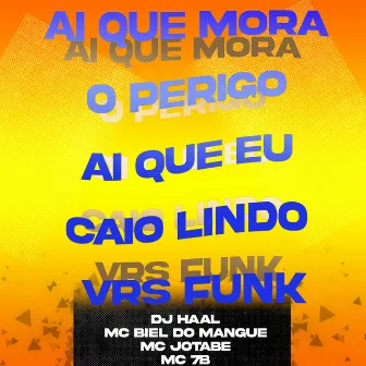 Ai que mora o perigo ai que eu caio lindo Vrs Funk by mc Jotabe