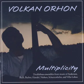 Multiplicity by Volkan Orhon