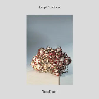 Trop dormi by Joseph Mihalcean